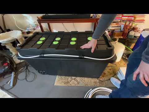 How I make a TrueHPA aeroponic root chamber using a storage box. Aeroponic grow chamber only.