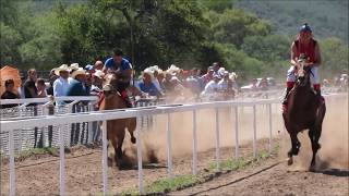 La Coqueta /  Grupo Laberinto