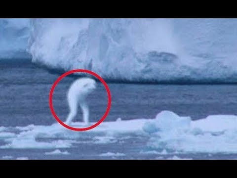 8 СТРАШНЫХ СУЩЕСТВ И ПРИЗРАКОВ СНЯТЫХ НА КАМЕРУ