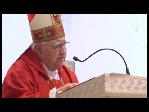 Stepinčevo 2016. u župi Srima