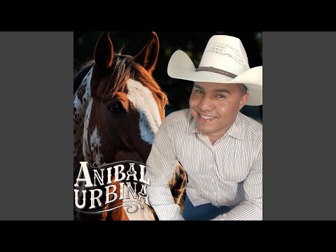 De Guindar Mejor Caer (En Vivo)