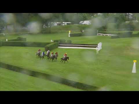 PE, 23. 6. 2018, 8. dostih - Cena Dostihového spolku a.s.