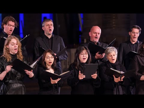 Byrd - MISERERE MEI - Laurenscantorij