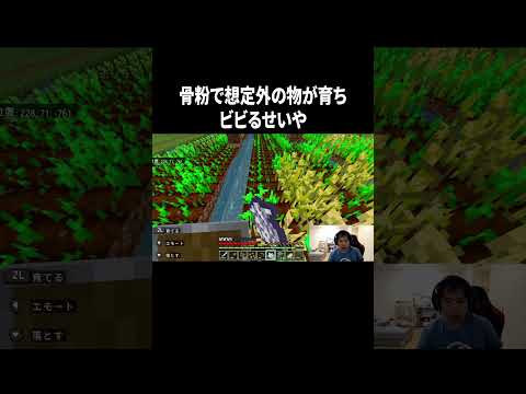 骨粉で想定外の物が育ちビビるせいや #イニミニ切り抜き #shorts #マイクラ