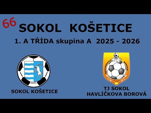 Sokol Košetice  -  TJ Sokol  Havlíčkova Borová  1.A Třída sk. A /1. poločas 16. 8. 2025