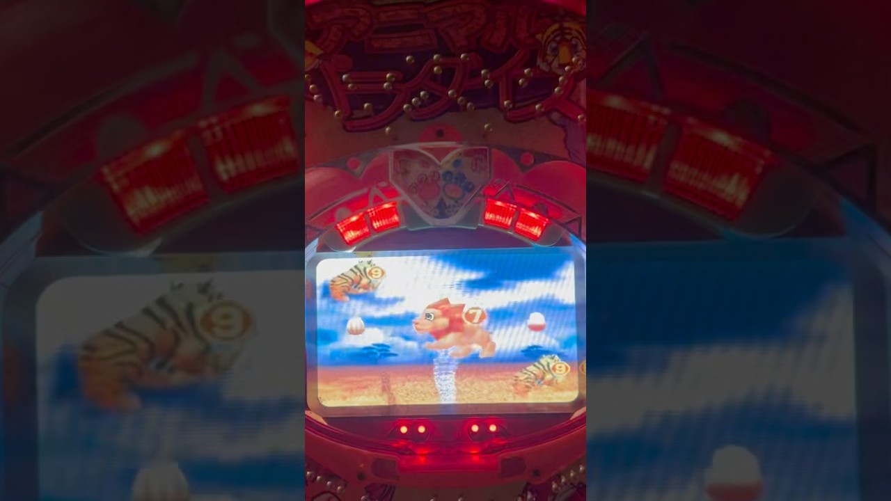 Shorts アニマルパラダイス