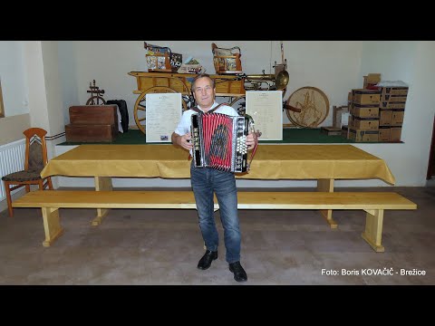 Brane Mešl - Vaški godec (v živo)