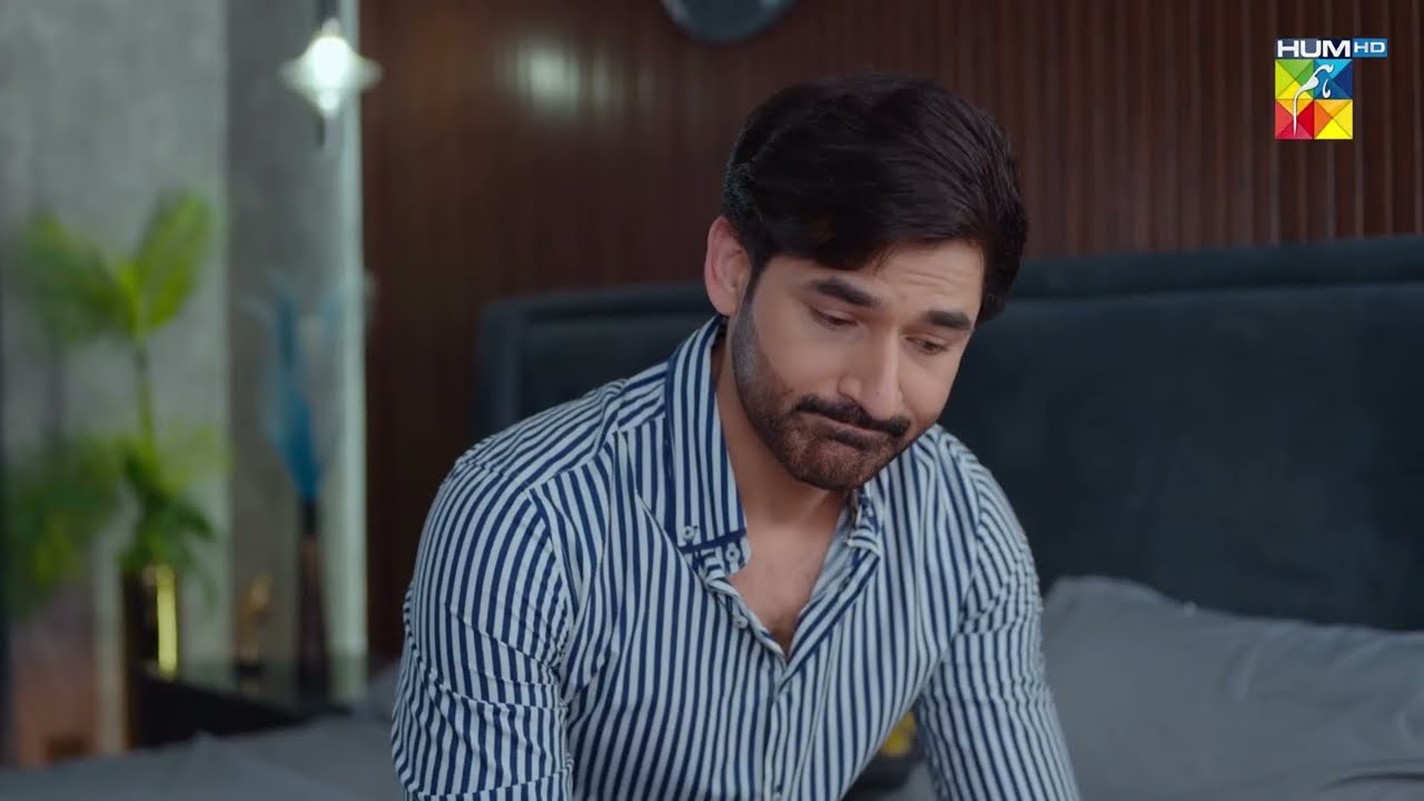 Main Aniza Ke Sath Chai Pee Aaya Hoon..! Aye Dil Aazma Nahin - Mirza Zain Baig & Hina Tariq - HUM TV
