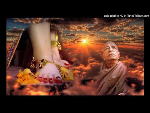 Srila Prabhupada on Bhagavad Gita AS IT IS Chapter 2.31