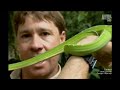 The Crocodile Hunter Best Of Steve Irwin S03 E10