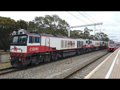 CSR001 + CSR006 + CSR008 + CSR007 + SCT012 + CSR011 #7PM9