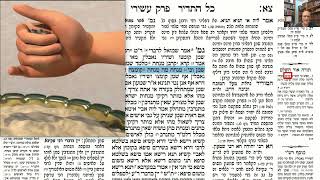 דף יומי מסכת זבחים דף צא Daf yomi Masechet Zevachim page 91  ע"י יוני גוטמן (שיעורי הדף היומי ב-20 דקות – מועבר ע"י ר' יוני גוטמן – לעילוי נשמת אביו ר' אלימלך צבי (צביקה) גוטמן ז"ל) - התמונה מוצגת ישירות מתוך אתר האינטרנט יוטיוב. זכויות היוצרים בתמונה שייכות ליוצרה. קישור קרדיט למקור התוכן נמצא בתוך דף הסרטון