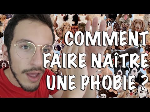 Le Coup de Phil' #8 - Les chiens de Pavlov