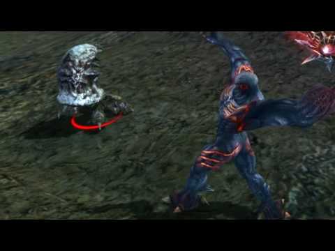 Requiem Memento Mori