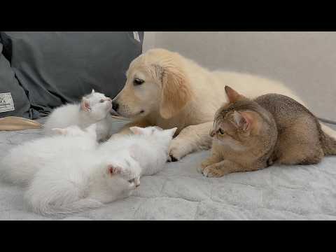 YouTube 썸네일