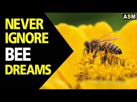 What does Bees dream meaning | Dreaming of Bee | Bees dream interpretation