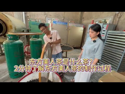 东方美人茶是什么茶？2分钟了解东方美人茶的制作过程