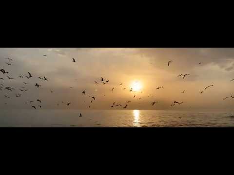 Golden Corridor - PressTV - Pepe Escobar 2026