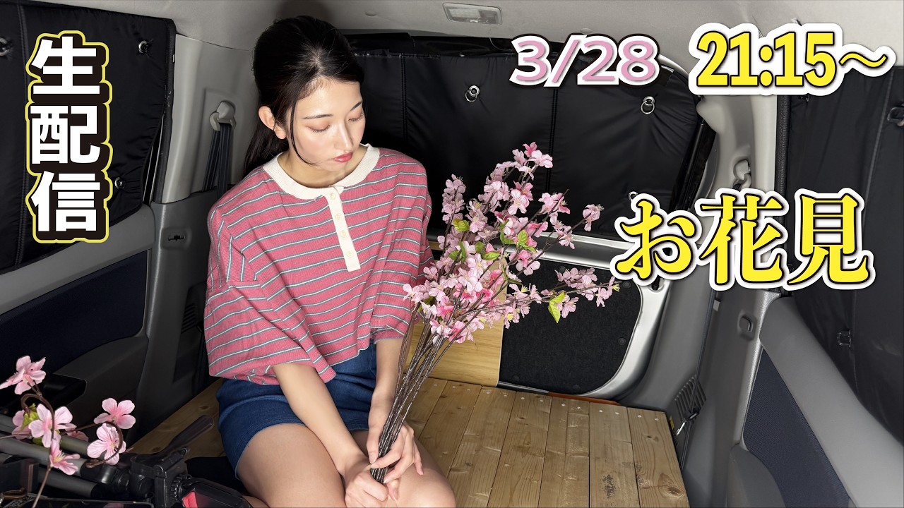 【生配信】お花見配信 #夜桜 #shortsfeed