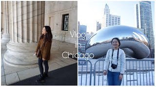 🇺🇸1月VLOG アメリカ留学生活