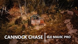 Cannock Chase Forrest | DJI Mavic Pro