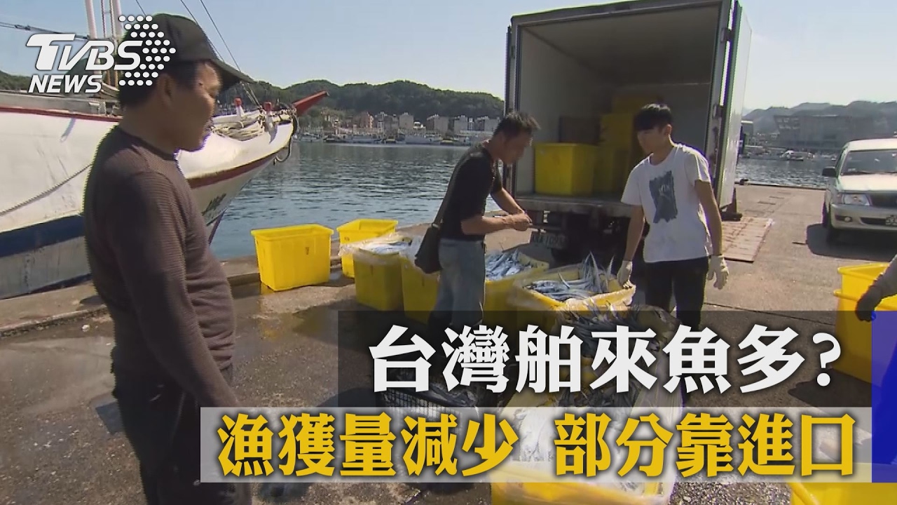 台灣舶來魚多?漁獲量減少 部分靠進口