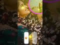 Pollachi Mala Rottula Whatsup Video