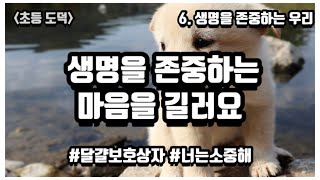 |초등도덕| 생명을 존중하는 마음을 길러요 | 3학년 2학기, 6단원 생명을 존중하는 우리 | 달걀보호상자 | 너는 소중해 |