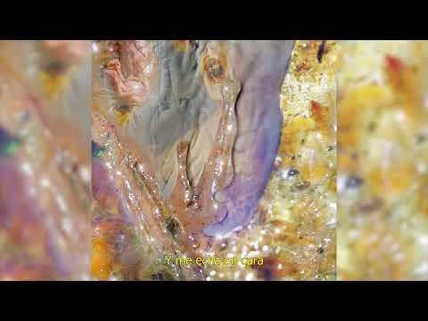 Lux Vimdor - Oportunidades (Lyric Video)