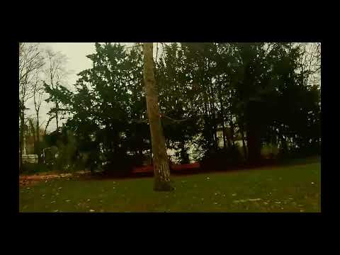 "New Spot .new: A Game-Changer for Your Future!"