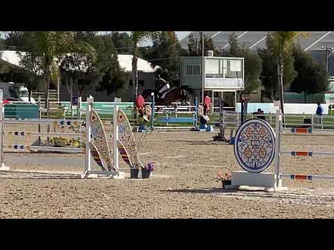 Fape Granada mare 2011 by Casall