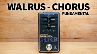 Video thumbnail for Walrus - Fundamental Chorus by Bass Stuff