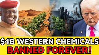 Why Africa Banned $4B in Western Water Chemicals for a Miracle Seed?