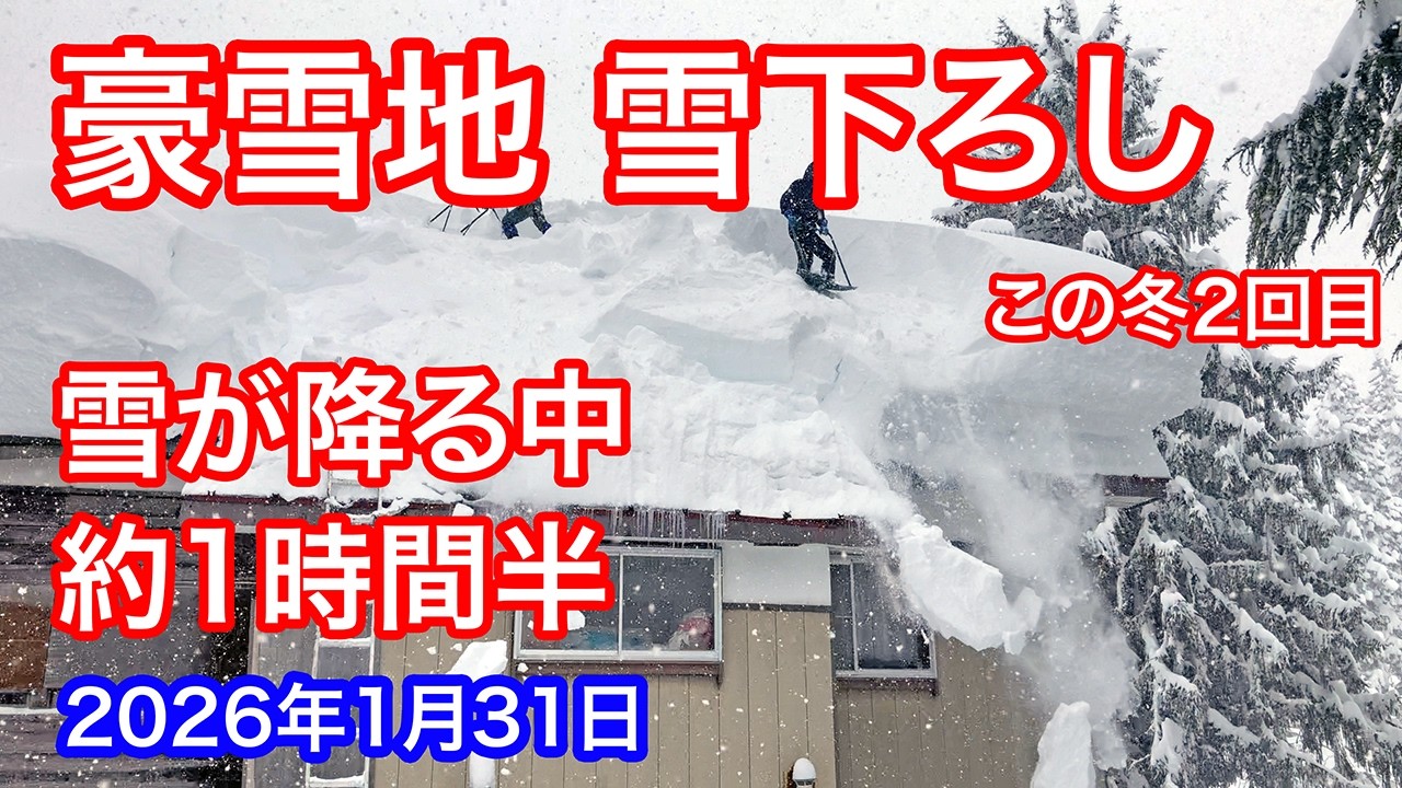 《等倍速》豪雪地 雪が降る中での雪下ろし【旧木造校舎屋根】 この冬2回目 2026年1月31日 #snowremoval 