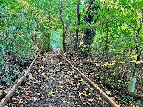 Sladebank Woods - BBC Points West - 111022