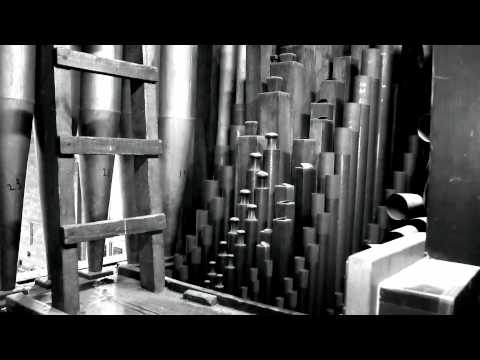 Schulze Organ Appeal