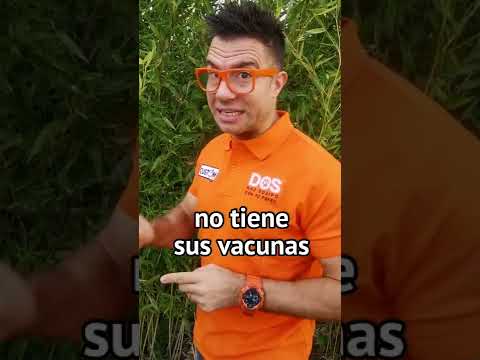 ⚠️ Potty Training a Puppy 🐶 | 3 Key Moments 📝