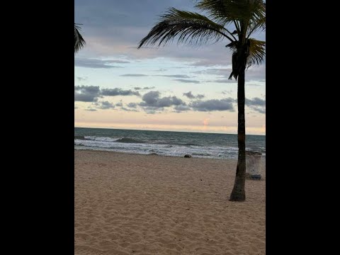 Set Especial Bailemos Hasta Que Salga El Sol Jesus Madero 2024