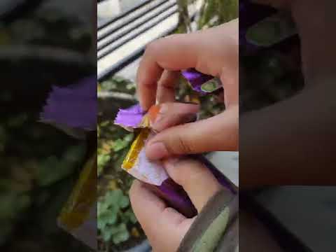 Dairy Milk OR KitKat ??? #chocolate #chocolate