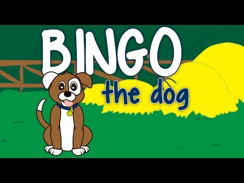 Bingo the dog - childrens songs nursery rhymes bingo song bingo dog song babies toddlers by 123abctv