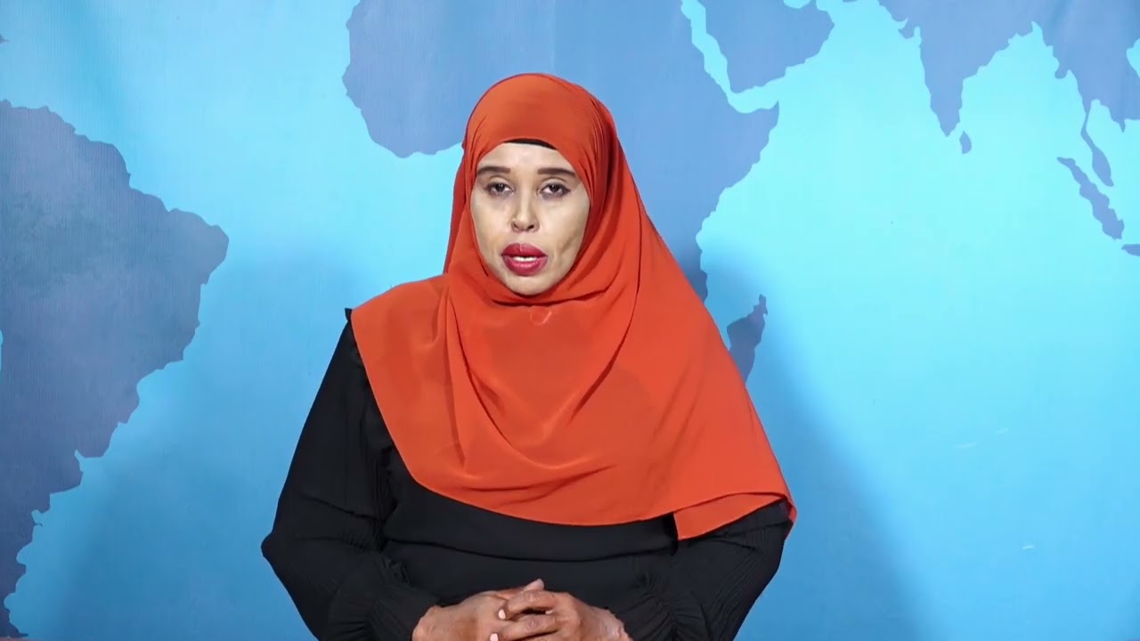 SNTV Evening News Bulletin — Feb 12, 2026