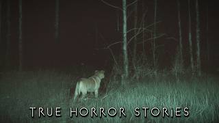 3 Creepy TRUE Horror Stories With Dogs Involved