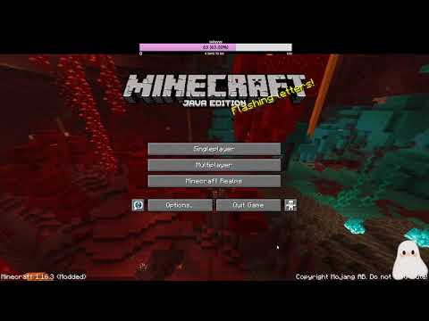 Zapis Live 08.01.2021 - Eleven,Kitsune,Strix,Shao,Zeron - Minecraft