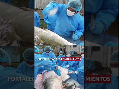 Asociaciones pesqueras del distrito de Yaguas Participan en Capacitaciones Especializadas