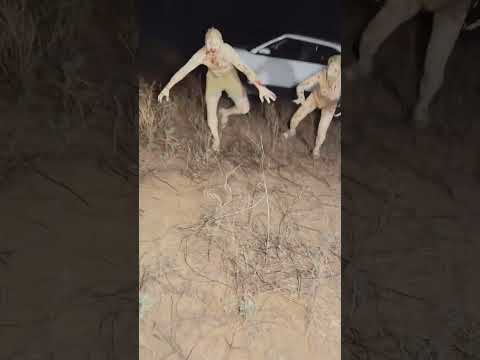 2 din Ka Mela aaya bhi Akela jaega bhi khela#mereshyamji #khatushyambhajansanjaymittal