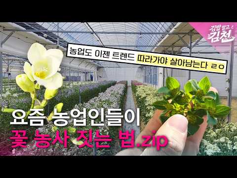 꽃 농사? 요즘 기술 트렌드에 맞게 짓는거죠