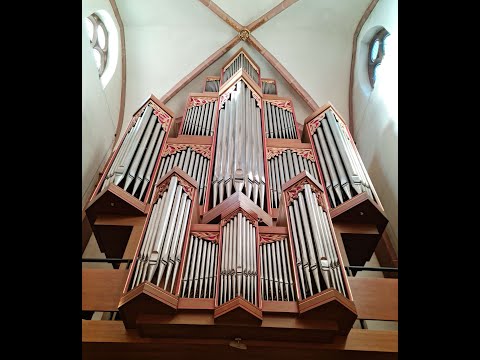 Orgelsymphonie EXODUS   Martin Groß   Stiftskirche Lahr