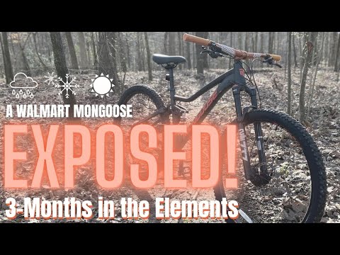 EXPOSED! How does a Walmart Mongoose handle 3+ Months Stored OUTSIDE and UNCOVERED?