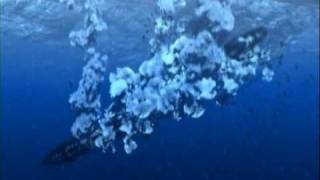 Blue Submarine No. 6 - It&#39;s Hell Above and Below Water