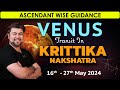 For All Ascendants | Venus transit in Krittika Nakshatra | 16 - 27 May 2024 | Analysis by Punneit